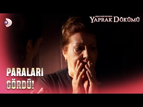 Hayriye Paraları Görünce Şok Oldu! - Yaprak Dökümü 164. Bölüm