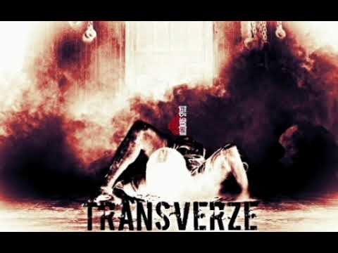 Insidious Speed - Transverze [SPEEDCORE]