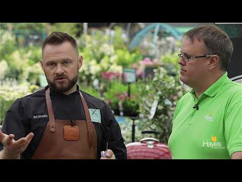 download lagu mp3 mp4 Bbq Shops Browns Plains Qld, download lagu Bbq Shops Browns Plains Qld gratis, unduh video klip Bbq Shops Browns Plains Qld