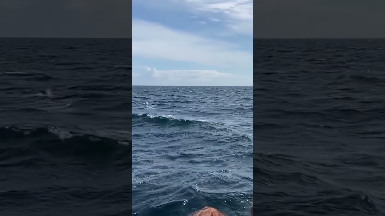 YouTube Short thumbnail