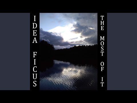 あなたの庭にゴールドフィンチを呼び込むにはどうすればよいですか？ 5つの良いアイデア  庭園