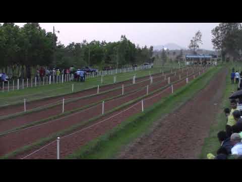 TOMASITA - 1ra. Clas. - 3er. GP Haras Santo Tomas - Hipodromo Santo Tomas - Paraguari - 10/05/2019.