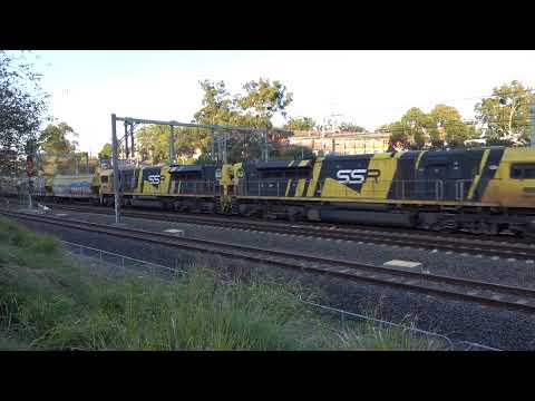 SSR102 / SSR101 with SSR empty grain 1541 - 21/7/24