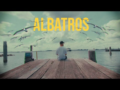 Numen - Albatros