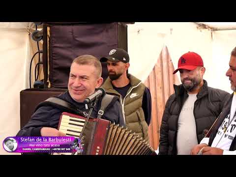 Stefan de la Barbulesti - Hai vino tata acasa [ Videoclip Oficial ] 2022