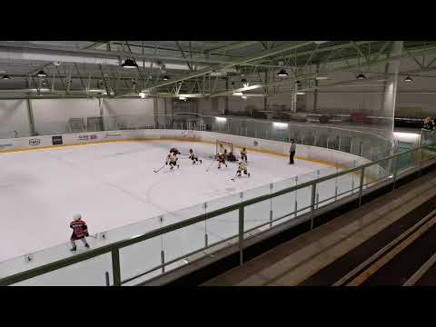 Tappara Sininen - Pingviinit 16.11.2019