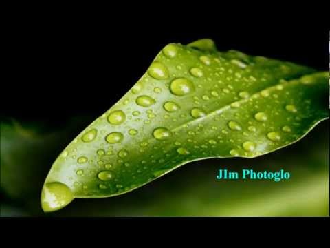 JIM PHOTOGLO - THE BEST THAT I CAN BE [w/ lyrics]