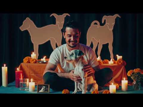 Estando la muerte un día - Guanfir y Guanfor