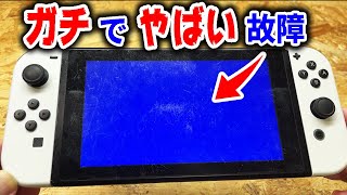 こんな酷い壊れ方してるSwitch初めて【ブルースクリーン】