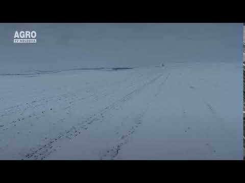 Promo AgroTV Moldova - Iarna