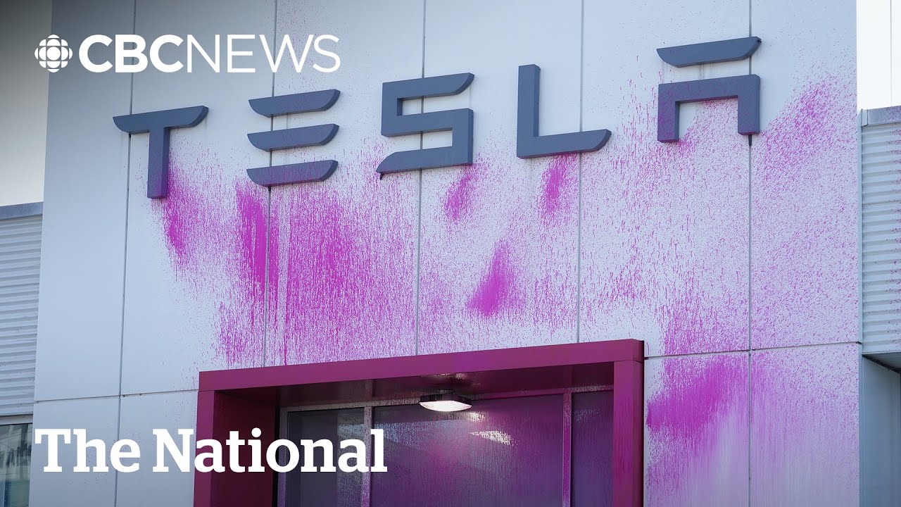 Tesla dealership vandalized as backlash grows against Elon Musk