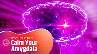 Calm Your Amygdala: Reduce Anxiety & Fear With Soothing Music | Lessen Fear Response