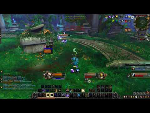 WoW Arena - 2v2 Druid Balance + Paladin Ret