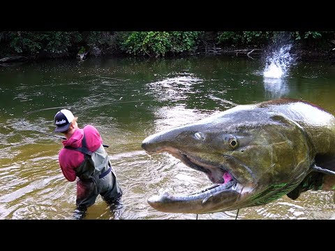 Michigan KING SALMON Bobber Downs