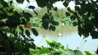 un giorno a Grazie di Curtatone