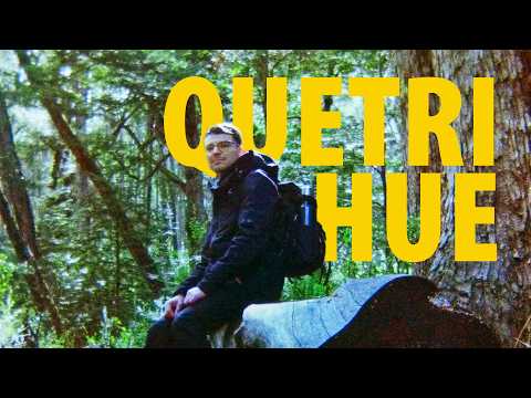 UN BOSQUE UNICO EN EL MUNDO | SERIE VLOGS AUSTRALES