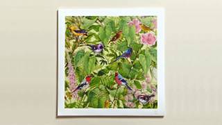 Sketches from an Island - Baby Come Home