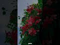 Yugam Yugam Kaana Mugam Ithu Pothum Pookale Satru Vikram Ai Tamilwhatsappstatus Lovesongs