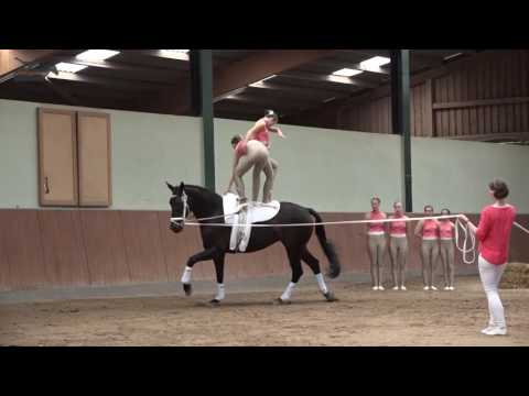 HWR III DVP Final Kür