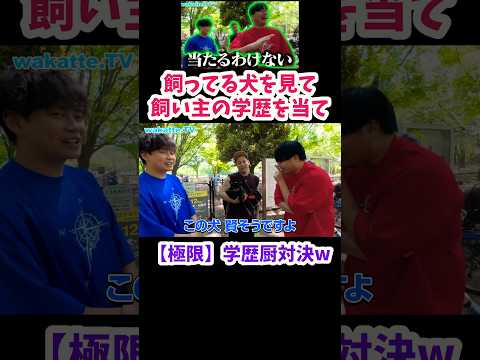 【学歴厨対決】飼ってる犬を見て飼い主の学歴当てろ in 代々木公園 【wakatte.TV 切り抜き】#wakattetv #shorts #学歴厨 #代々木公園
