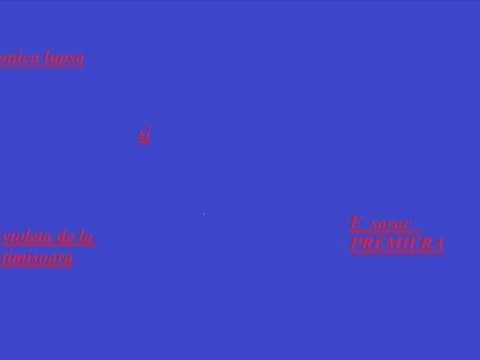 MONICA  LUPSA SI VIOLETA LUMINA VESTULUI 2011