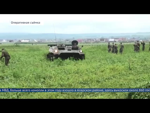 В Иркутской области коноплю давили БТРом