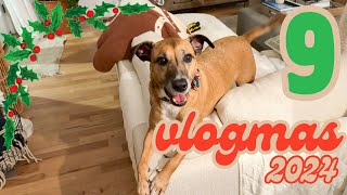 Day 9 - visiting Toaster's cousins // Vlogmas 2024