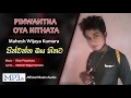 Pinwantha Oya Hithata By Mahesh Wijaya Kumara