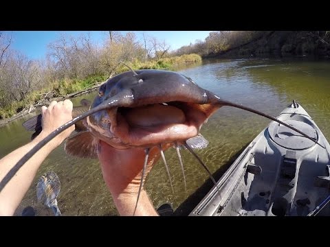 Kayak Fishing For Channel Cats