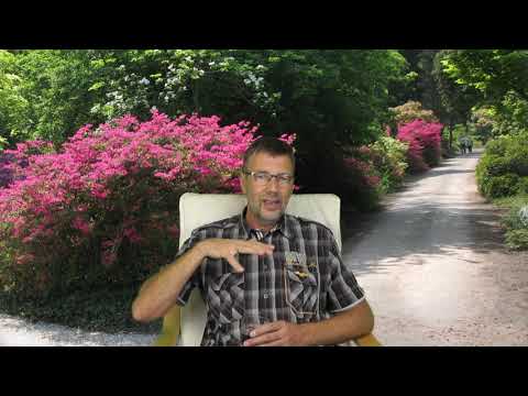 Hoe kan ik Gods liefde ervaren