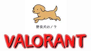 【VALORANT】エイム硬め濃いめポイントマシマシランクマッチ【ヴァロラント】