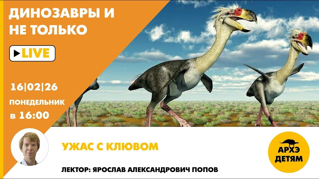 Занятие «Ужас с клювом» рубрики "Динозавры и не только" с Ярославом Поповым