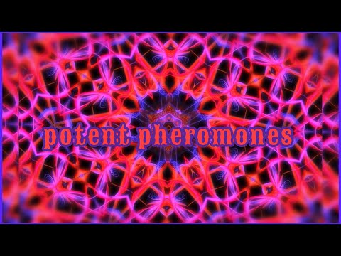 ρσƚҽɳƚ ✬⊱strongest pheromones known to mankind (200% 📈) subliminal ❁ listen once ⊷❊ 𝒬𝒮⋆