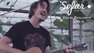 David Benjamin - Friendly Fire video