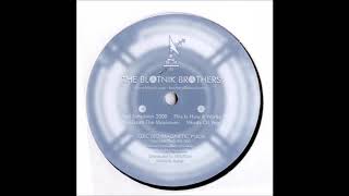 The Blotnik Brothers – She Does The Maximum