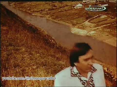 Teodor Negară - Murgule, căluțul meu (1981)