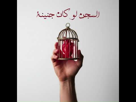 Dallo - El Segn Law Kan Genena l ضالو- السجن لو كان جنينة