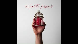 Dallo - El Segn Law Kan Genena l ضالو- السجن لو كان جنينة