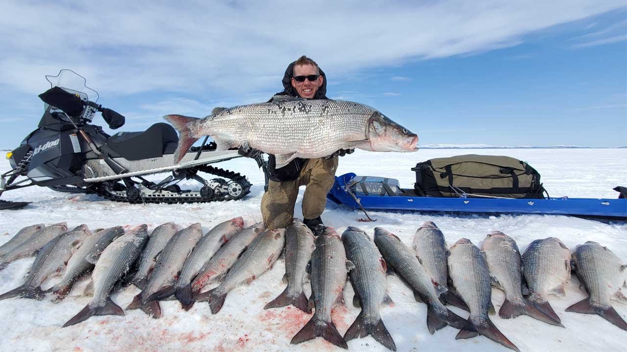 4 Days Camping & Fishing on Arctic Ocean - GIANT Sheefish Catch & Cook Alaska Adventure