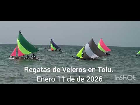 Regata de Veleros o Mariposas Marinas en Tolu Sucre Enero 11 de 2026.