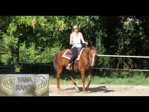 Yama Ranch Montegaldella VI