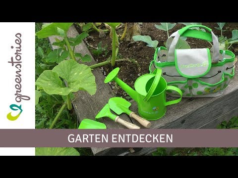 Vorschau: Sachbuch „Eine Königslibelle in Neles Garten“