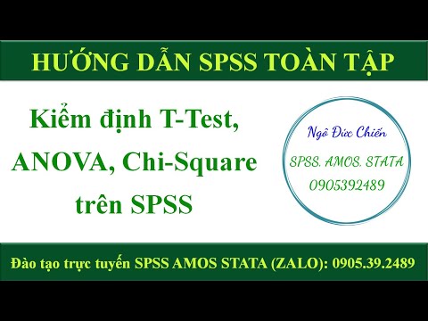 #SPSS | Teste T-Test, ANOVA, Qui-Quadrado no SPSS |