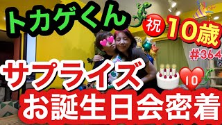 トカゲくんの10歳誕生日をサプライズでお祝いしたらまだまだ赤ちゃんみたいに喜んでくれて母泣いちゃう爆?優しいトカゲくんに癒されるの巻