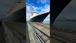 The ship is beautiful #shorts #cruise