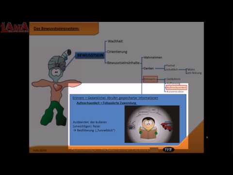 Psychopathologie - das Seelenmännchen (Praxisanleitung Pflege Psychiatrie)
