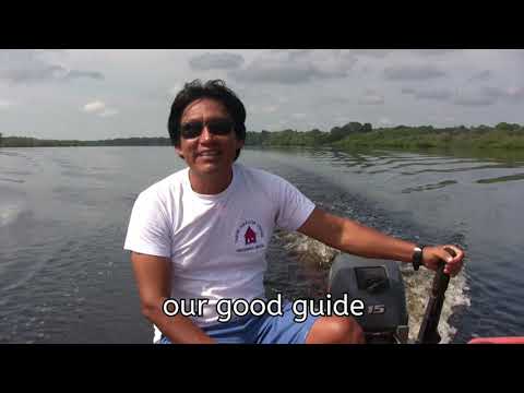 Tariri Lodge in Amazon-Brasil; End of August 2019