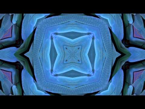 Denzal Park feat. Penelope Austin - Animal Heart (Paris & Simo Remix) OUT ON BEATPORT