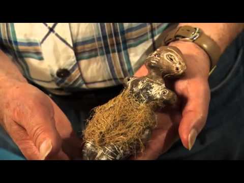 Danube Script from Old Europe 5000 - 3500 BC