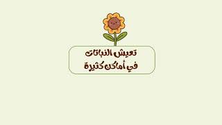 مطوية أماكن عيش النباتات - علوم أول ف1